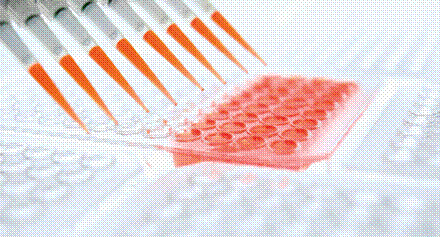 clip_image002.gif